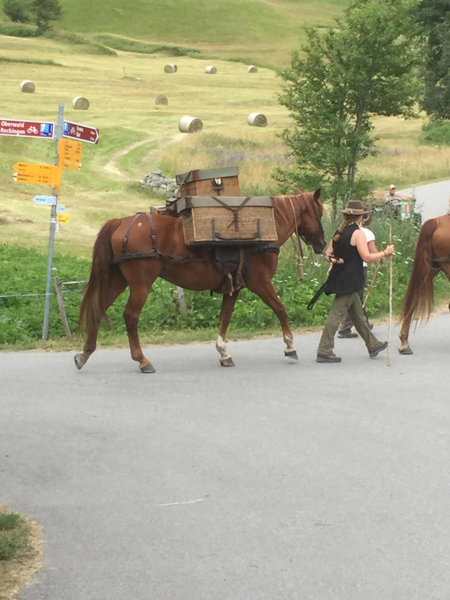 Willa Distel Goms Zewnętrze zdjęcie